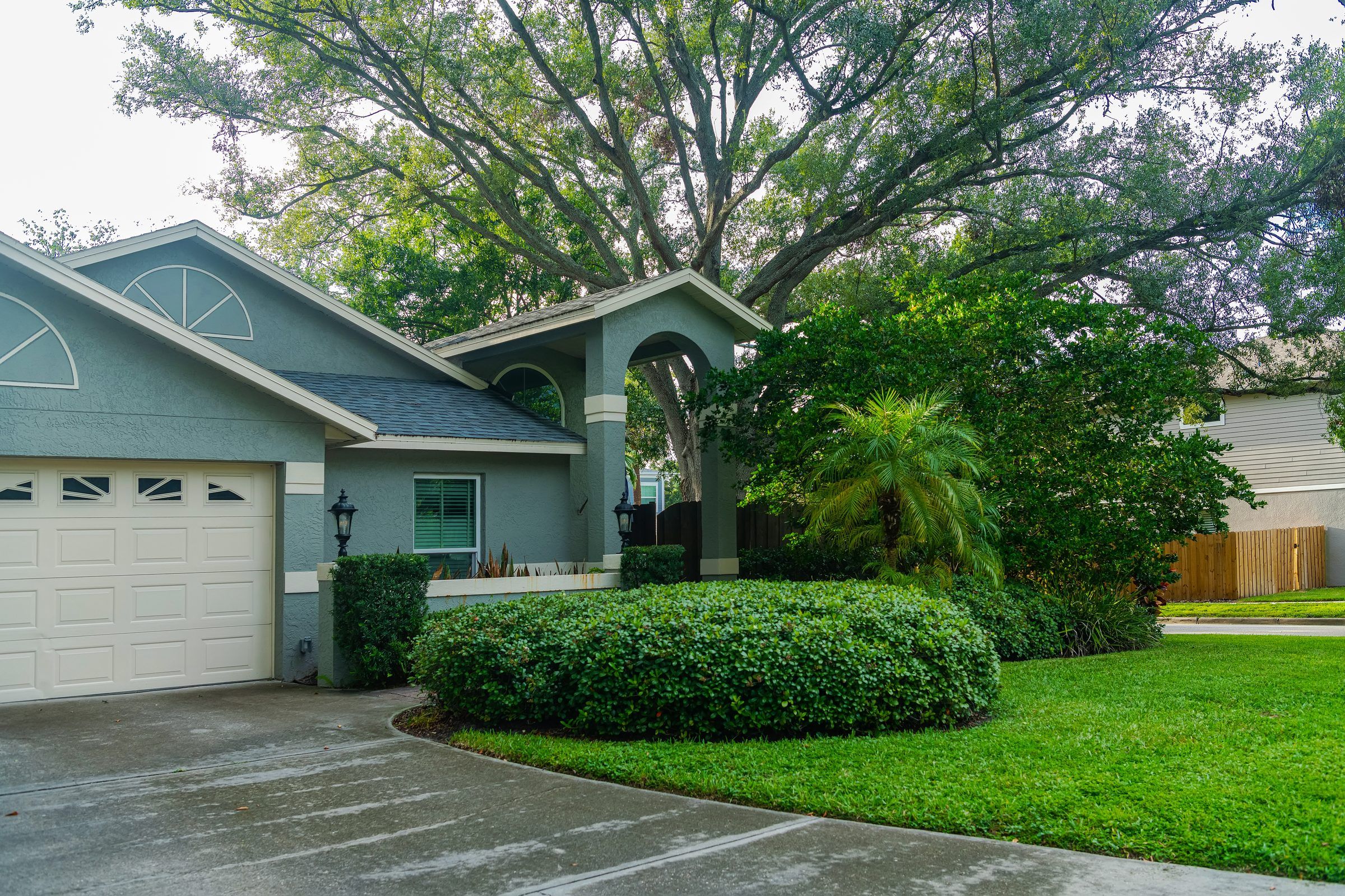 A house with a curved driveway under large shade trees