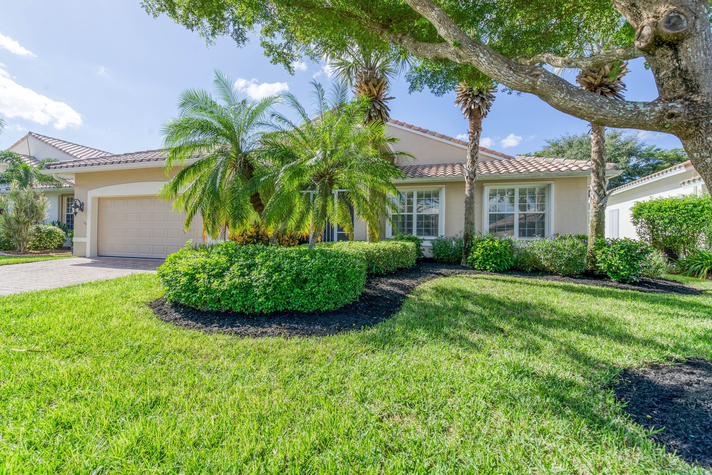 A single-story house with palms and a wide lawn