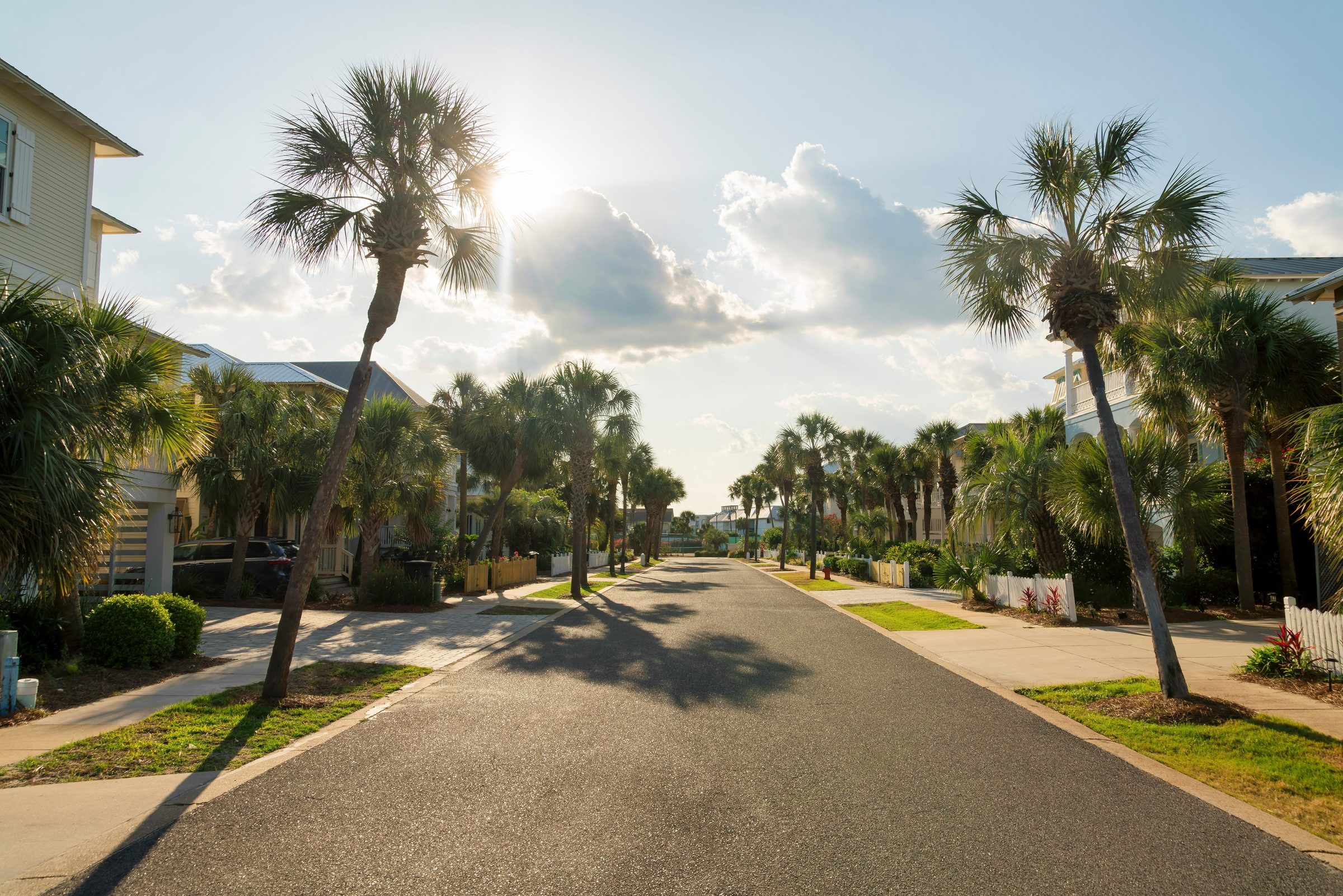 A residential street lined with palm trees