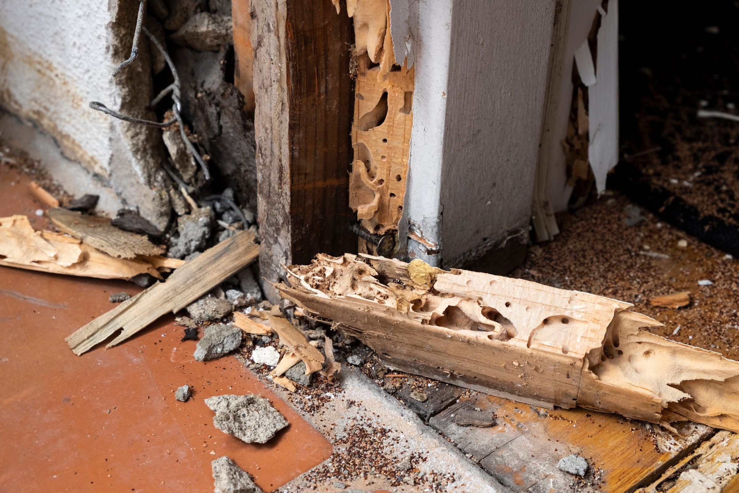 A door frame and sill with the wood eaten hollow by termites